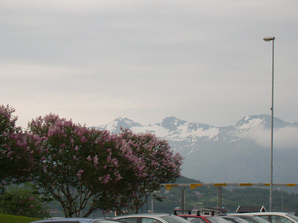 CRW_3836