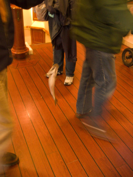 CRW_3840_edited-1