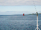 CRW_3662