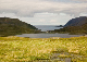 CRW_3712_edited-1