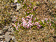 CRW_3715