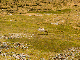 CRW_3718