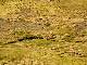 CRW_3720