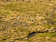 CRW_3721