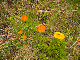 CRW_3768