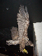 CRW_3781_edited-1
