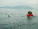 CRW_3843