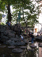 CRW_3944_edited-1