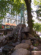 CRW_3946_edited-1
