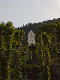 CRW_3974_edited-1